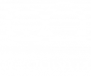 webalytix logo White