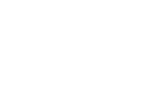 Webalytix Logo 2